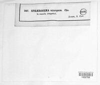 Image Associated With the Occurence
